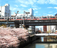 五反田から風俗のバイトを探す